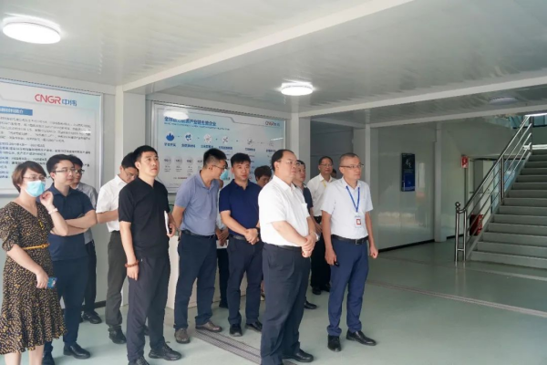 國(guó)家發(fā)展改革委綜合運(yùn)輸研究所所長(zhǎng)、研究員汪鳴率調(diào)研組到中偉欽州產(chǎn)業(yè)基地調(diào)研