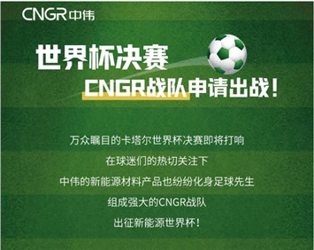 世界杯決賽 | CNGR戰(zhàn)隊(duì)申請出戰(zhàn)！