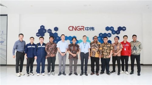 國際產(chǎn)學(xué)研加速 | 印尼加查馬達大學(xué)專家團一行再次訪問中偉